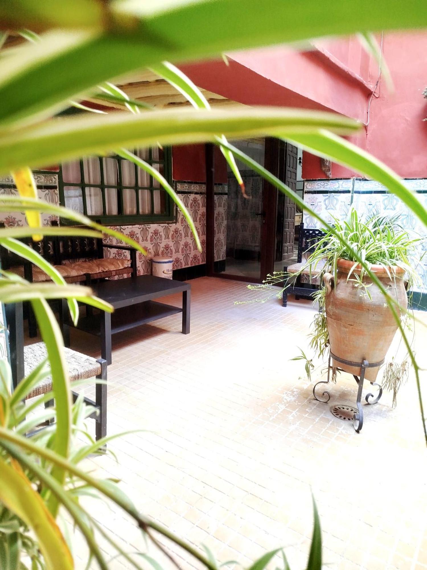 Casa Palacio Domus Astigi (Adults Only) Écija Dış mekan fotoğraf